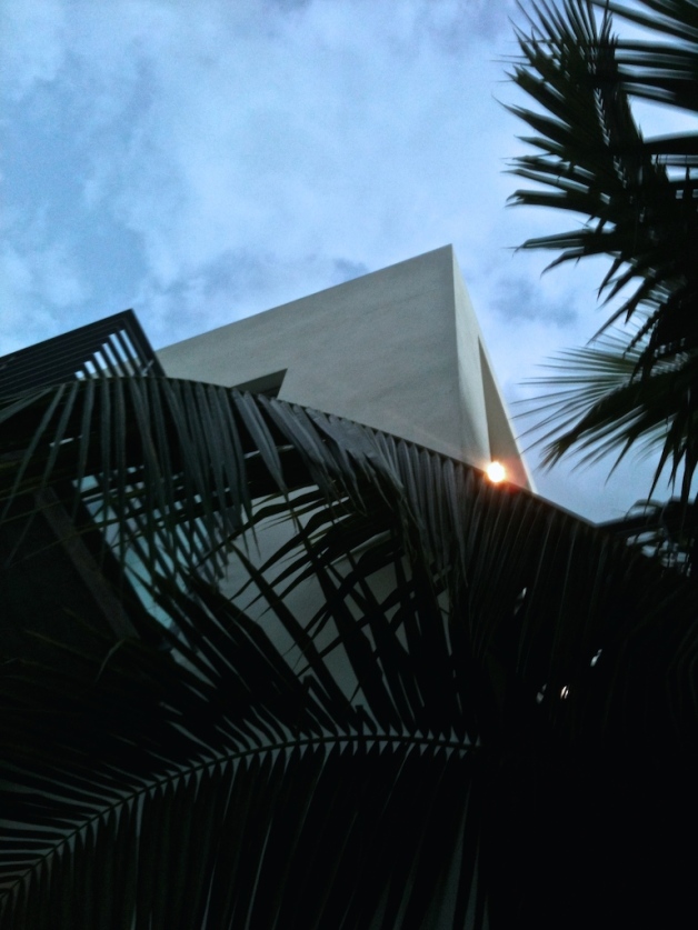 modern palm sunset