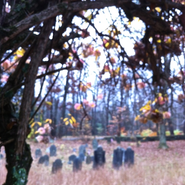 chandler hill cemetery colrain autumn