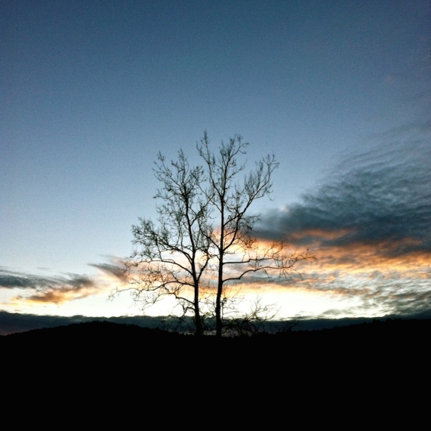 retreat meadows sunset january brattleboro vt