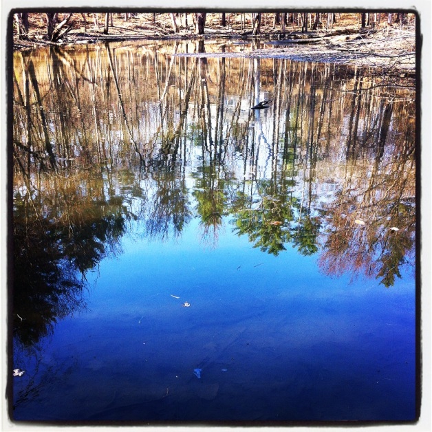 Wilson's Pond reflection Brattleboro VT