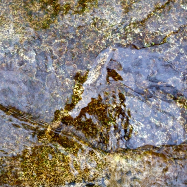 stickney-brook-granite-november-flow