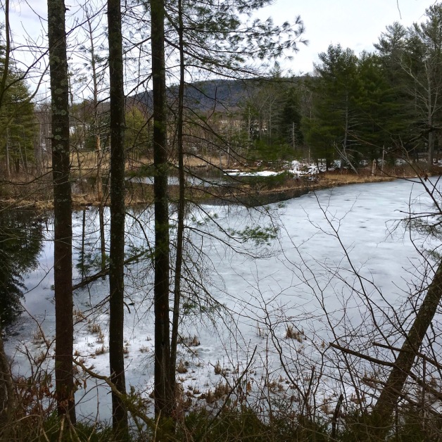 northfield beaver pond thaw 2018