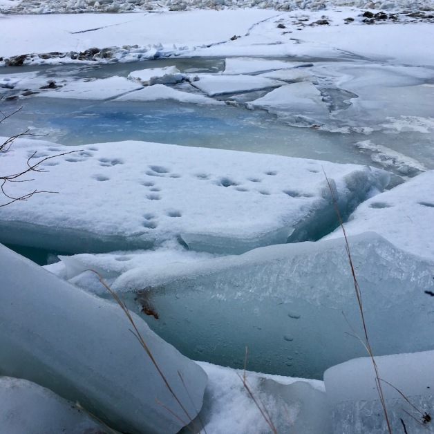 ice blocks west river 2019