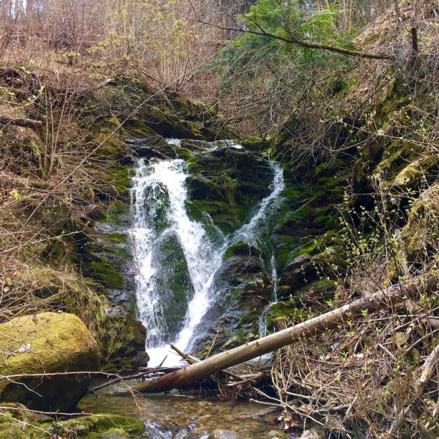 spring cascade brattleboro 2020